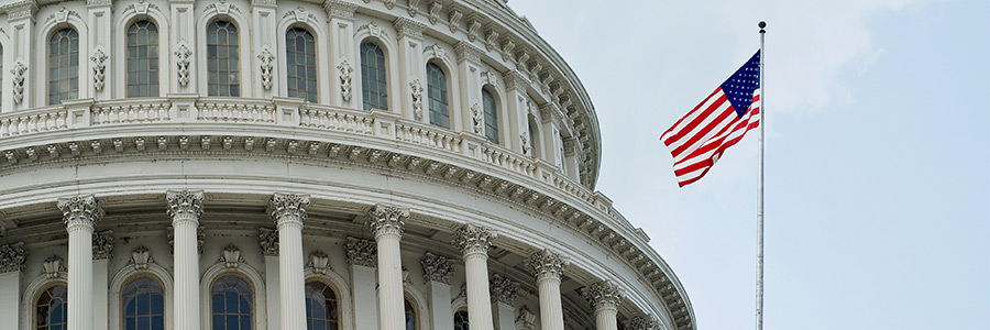 An American flag flies with the Capitol building in Washington D.C. in the background.