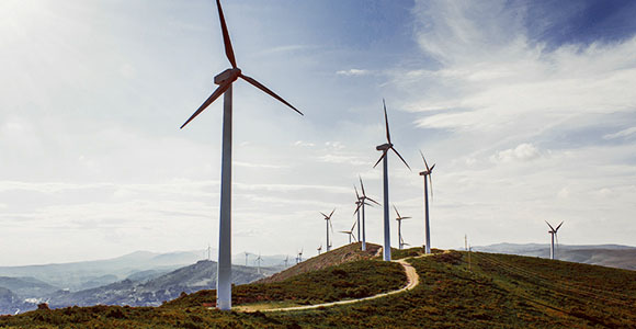 A field of wind turbines