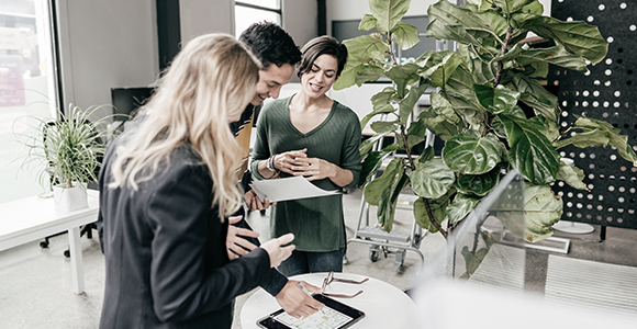 A group of professionals review documents in a boardroom accented with large plants.