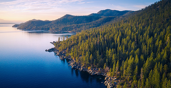 Image of a lake and forest