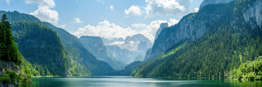 Landscape image of forest mountains