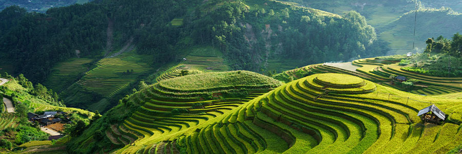 Farms in a mountainous region.