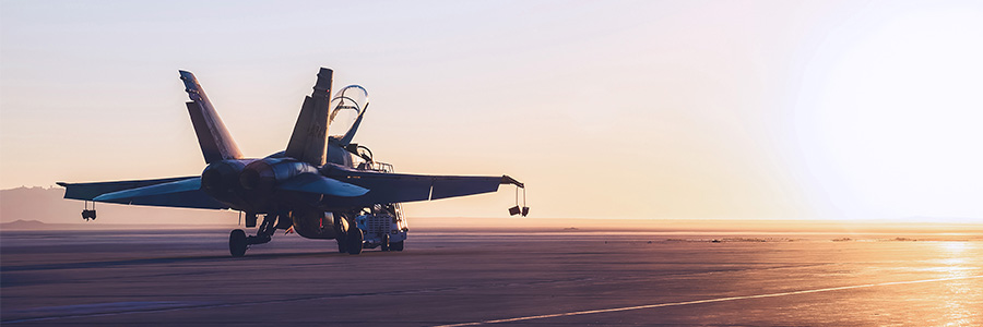 A fighter jet landed on the deck of a carrier. 