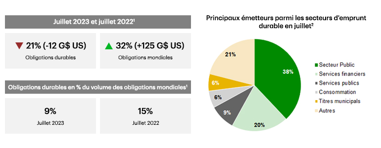 Pie chart showing top issuing sustainable debt sectors in July 2023